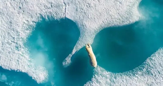 能飛特色班|航拍與視頻剪輯班正在招生！